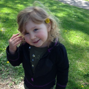 Team Page: Ella's Brio Brigade